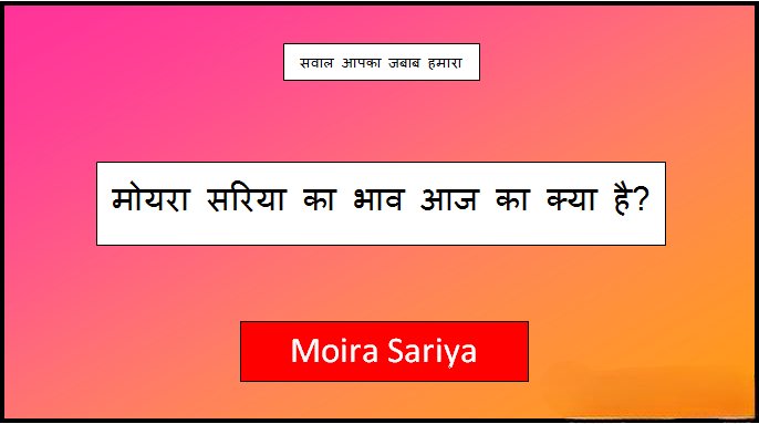 moira sariya price today indore