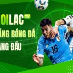 Don’t Miss the 202425 Football Season – Watch Live on Xoilac TV