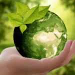 Green Without the Guesswork Best Tools for Designing Eco-Friendly Marketing Materials