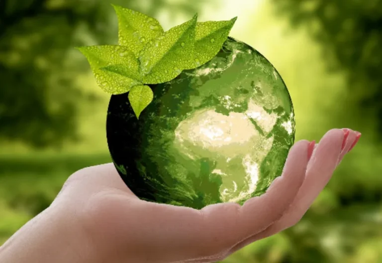 Green Without the Guesswork Best Tools for Designing Eco-Friendly Marketing Materials